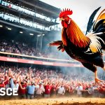 Agen Taruhan Sabung Ayam Online Terpercaya Indonesia