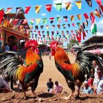 Temukan Situs Judi Sabung Ayam Terpercaya